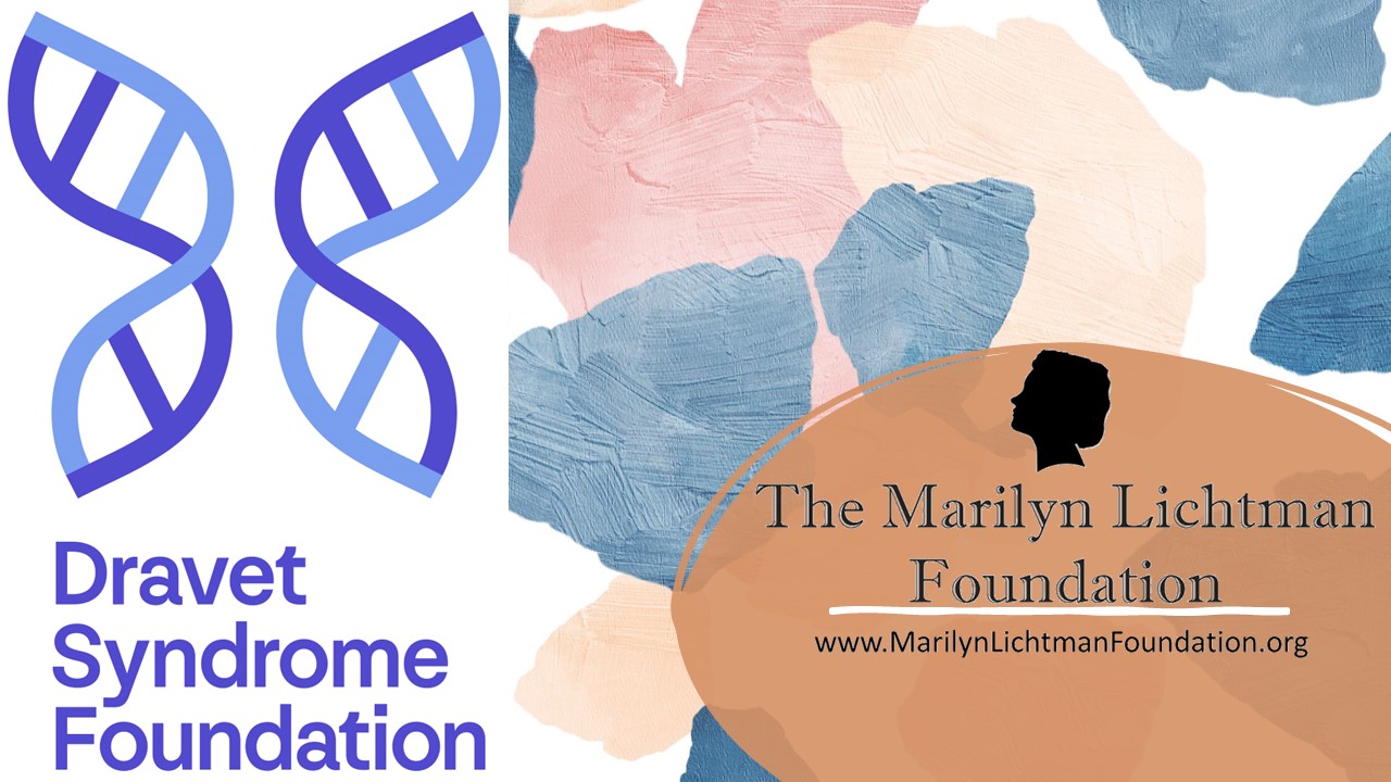 The Dravet Syndrome Foundation The Marilyn Lichtman Foundation