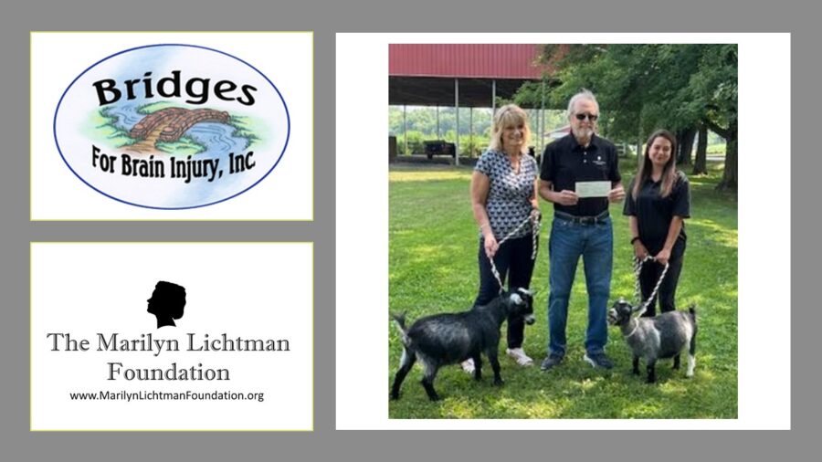 Three people standing in a field with goats, logo and text Bridges for Brain Injury, The Marilyn Lichtman Foundation www.MarilynichtmanFoundation.org'