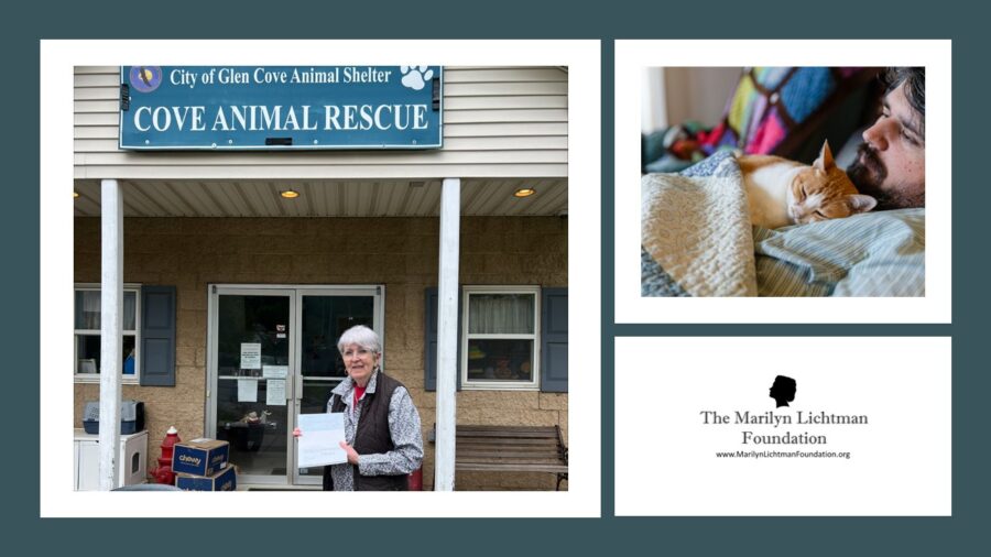 Image of a person standing outside a building, image of a person and a cat snuggling, Logo and text The Marilyn Lichtman Foundation www.MarilynLichtmanFoundation.org