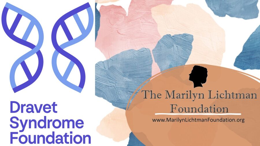 Logo with text Dravet Syndrome Foundation and The Marilyn Lichtman Foundation www.MarilynLichtmanFoundation.org