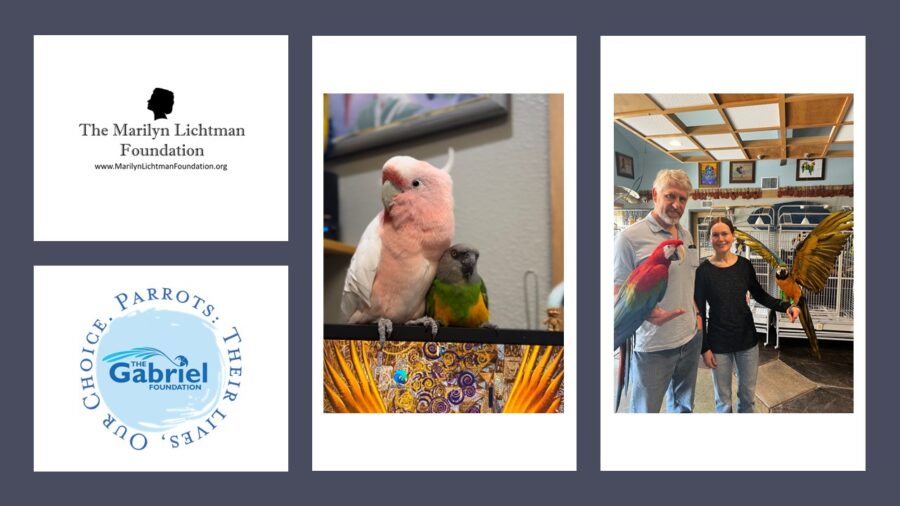 Image of people and parrots. Logo and text The Marilyn Lichtman Foundation www.MarilynLichtmanFoundation.org; The Gabriel Foundation Parrots: Their lives, our choice.