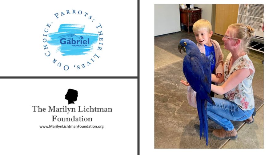 Picture of 2 people and a large bird, text and logo The Gabriel Foundation Parrots Their lives our choice.  logo and text The Marilyn Lichtman Foundation www.MarilynLichtmanFoundation.org