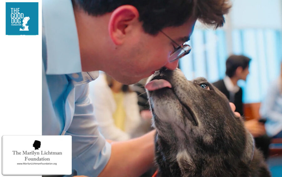 Image of people and a dog, logo and text The Good Dog Foundation; Marilyn Lichtman Foundation www.marilynlichtmanfoundation.org