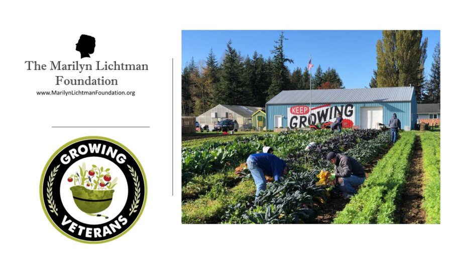 An image of people farming, logo and text Growing Veterans; Marilyn Lichtman Foundation www.marilynLichtmanFoundation.org