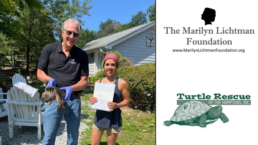 An image of 2 people, and a turtle with  text that says 'The Marilyn Lichtman Foundation www.MarilynLichtmanFoundation.org Turtle Rescue OF THE HAMPTONS, INC.'