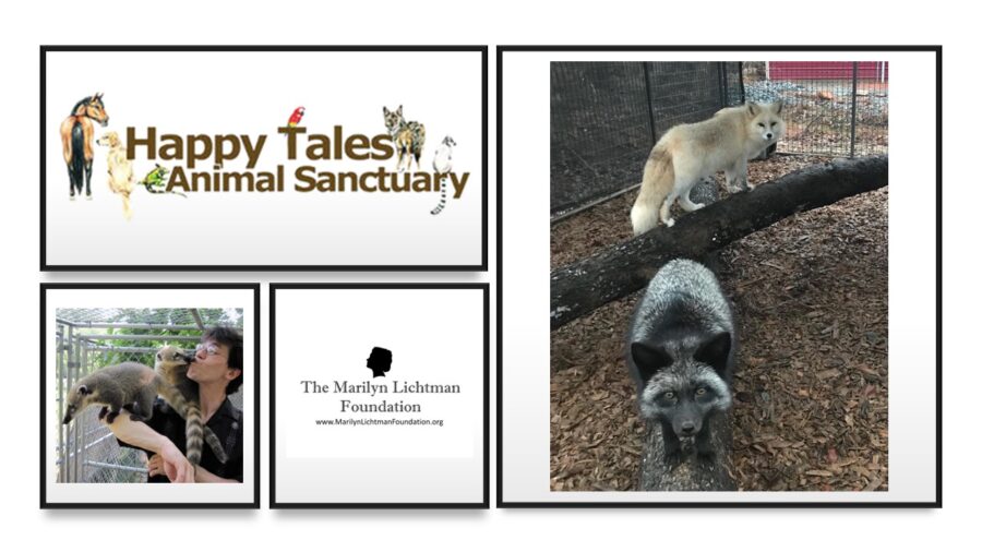 an image of a person, Several animals and text that says 'Happy Tales Animal Sanctuary The Marilyn Lichtman Foundation www.MarlymUuchtmanfoundaton.org'