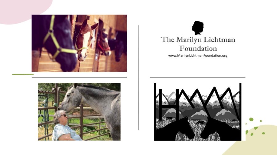 Photos of horses, another photo of a woman with a horse. Logo of The Marilyn Lichtman Foundation www.MarilynLichtmanFoundation.org logo of HMM