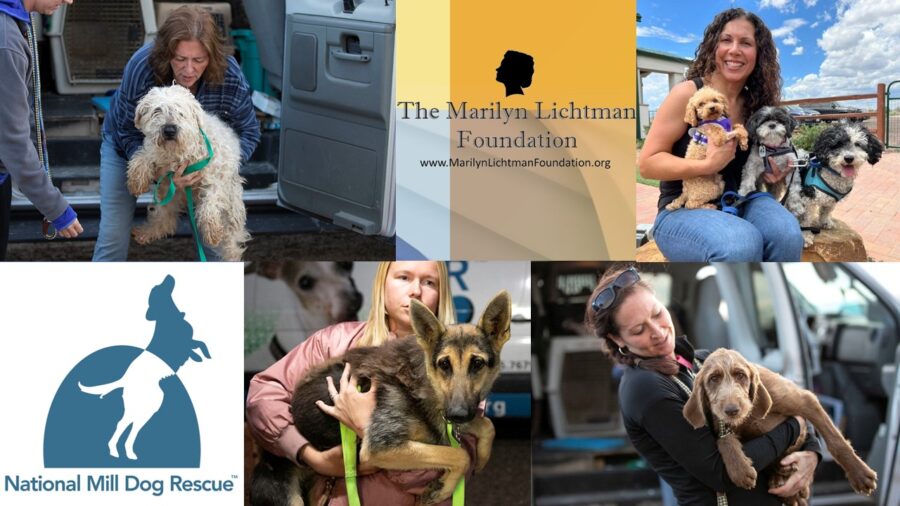 Photos of 4 people and dogs, Logo and text National Mill Dog Rescue, Text and logo The Marilyn Lichtman Foundation www.MarilynLichtmanFoundation.org