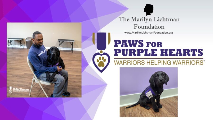 Image of person and dog, image of puppy, logo and text Paws For Purple Hearts, Warriors helping Warriors, The Marilyn Lichtman Foundation www.MarilynLichtmanFoundation.org