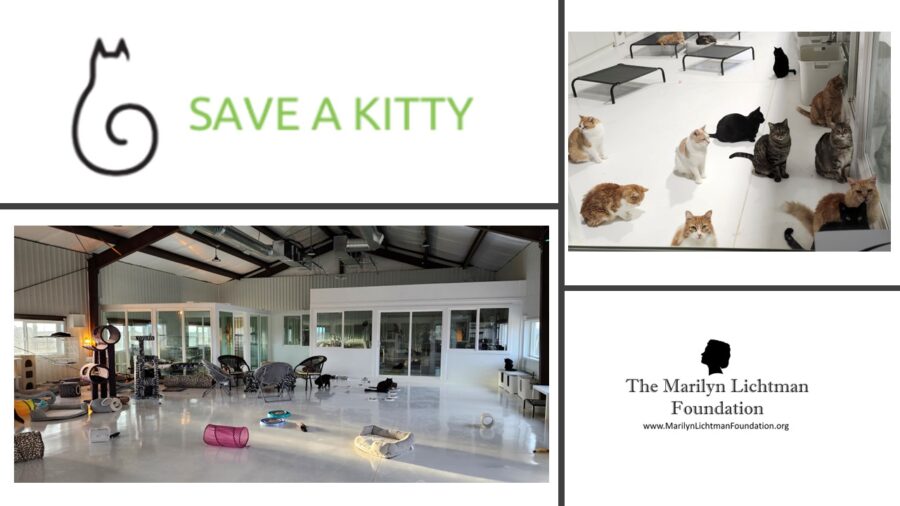 Images of several cats, logo and text Save A Kitty; The Marilyn Lichtman Foundation www.MarilynLichtmanFoundation.org