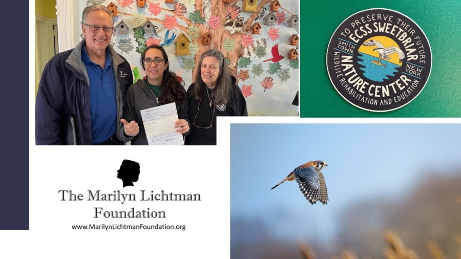 Image of 3 people, image of a bird in flight; image of a sticker with text ECSS Sweetbriar nature Center To Preserve their future wildlife rehabilitation and education Smithtown New York; The Marilyn Lichtman Foundation www.MarilynLichtmanFoundation.org