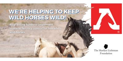 Image of wild horses and logo for American Wild Horse Campaign and MLFoundation. Text on horse logo