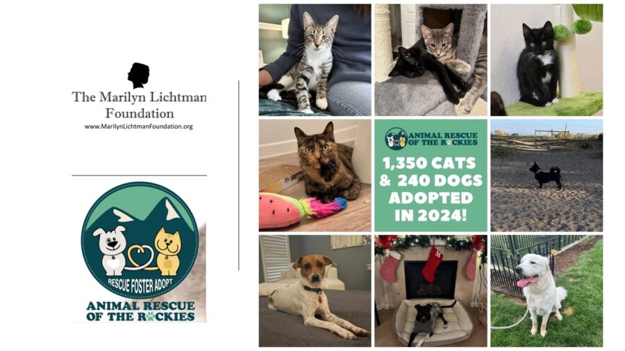 Image of several dogs and cats and text that says 'The Marilyn Lichtman Foundation www.MarilynLichtmanFoundation. org ANIMAL ANIMALRESCUE RESCUE OF THE ROCKIES 1,350  CATS & 240DOGS ADOPTED IN 2024! RESCUE FOSTER ADOPT ANIMAL ANIMALRESCUE RESCUE OF THE ROCKIES'