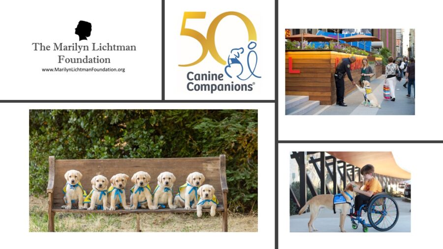 Image of several people, image of child in wheelchair with dog, and text that says 'The Marilyn Lichtman Foundation www.MariynLichtmanFoundation.org 50 Canine Companions®

