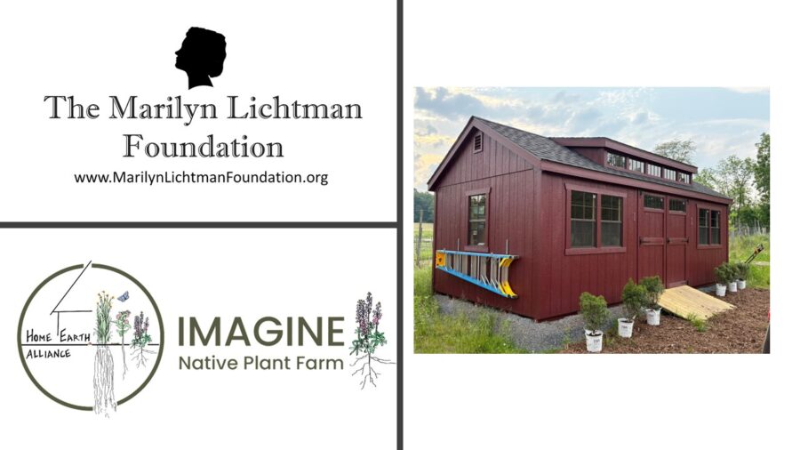 an image of a house and text that says 'The Marilyn Lichtman Foundation www.MarilynLichtmanFoundation.org; HOME EARTH ALLIANCE IMAGINE Native Plant Farm