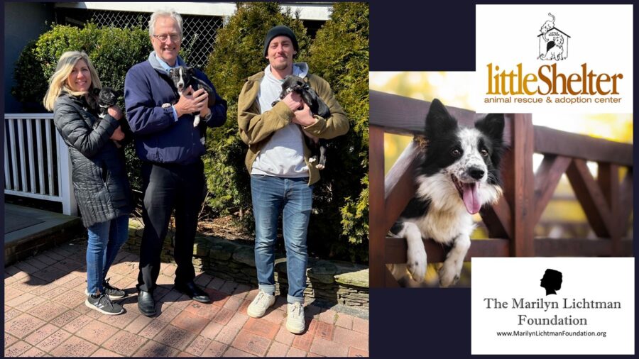 Image of 3 people holding puppies.  Logo of The little shelter rescue and adoption center, The Marilyn Lichtman Foundation, www.MarilynLichtmanFoundation.org