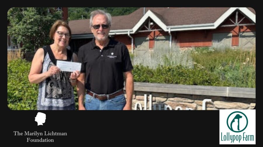 an image of 2 people and text that says 'The Marilyn Lichtman Foundation ; Lollypop Farm'