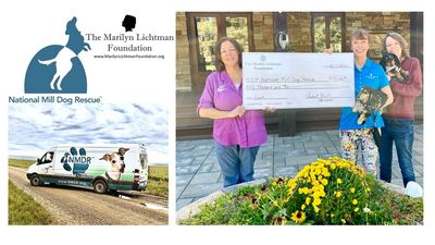 Logos of NMDR, Lichtman Foundation & photo dog van. Photo of 3 people holding big check & 2 dogs