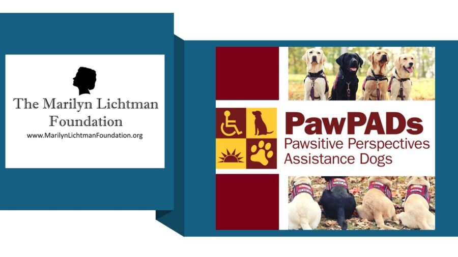 Image of service dogs, logo and text PawPADs Pawsitive Perspectives Assistance Dogs; The Marilyn Lichtman Foundation www.MarilynLichtmanFoundation.org