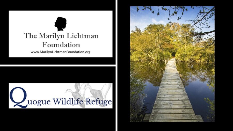 Photo of a bridge over water, image of text that says 'The Marilyn Lichtman Foundation www.MarilynLichtmanFoundation.org Quogue Wildlife Refuge'