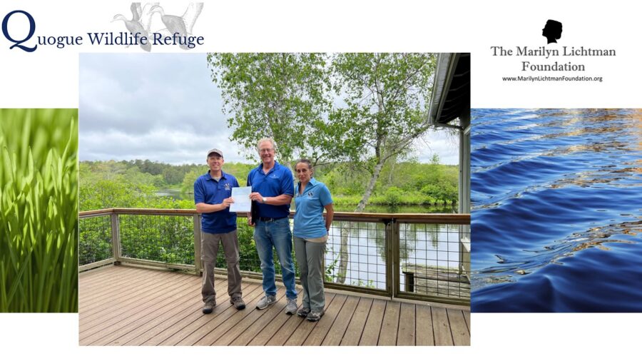 Logo of Quogue Wildlife Refuge, Logo of The Marilyn Lichtman Foundation, www.marilynlichtmanfoundation.org background of grass and water photos, center photo of 3 people holding a check outdoors