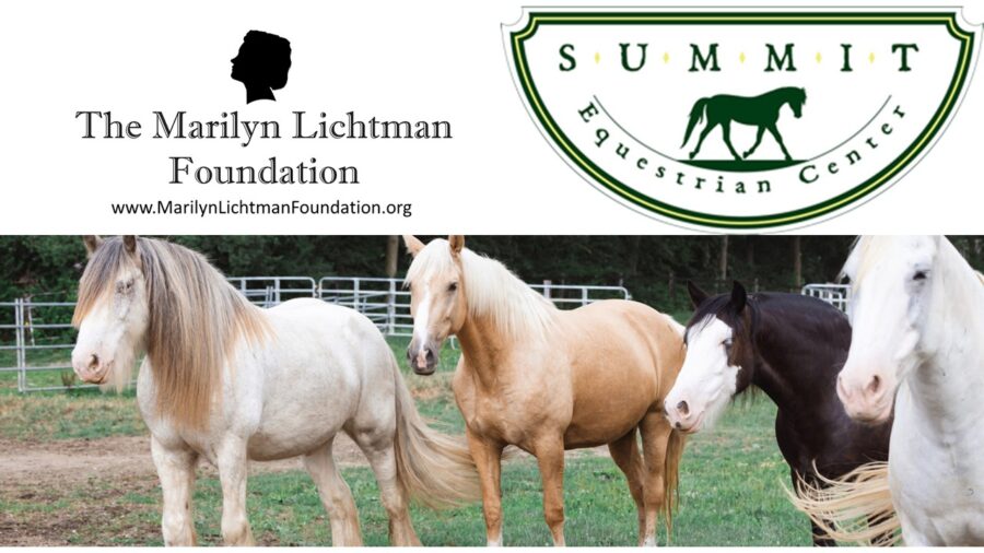 Image of horses, logo and text Summit Equestrian Center; The Marilyn Lichtman Foundation www.MariynlichtmanFoundation.org