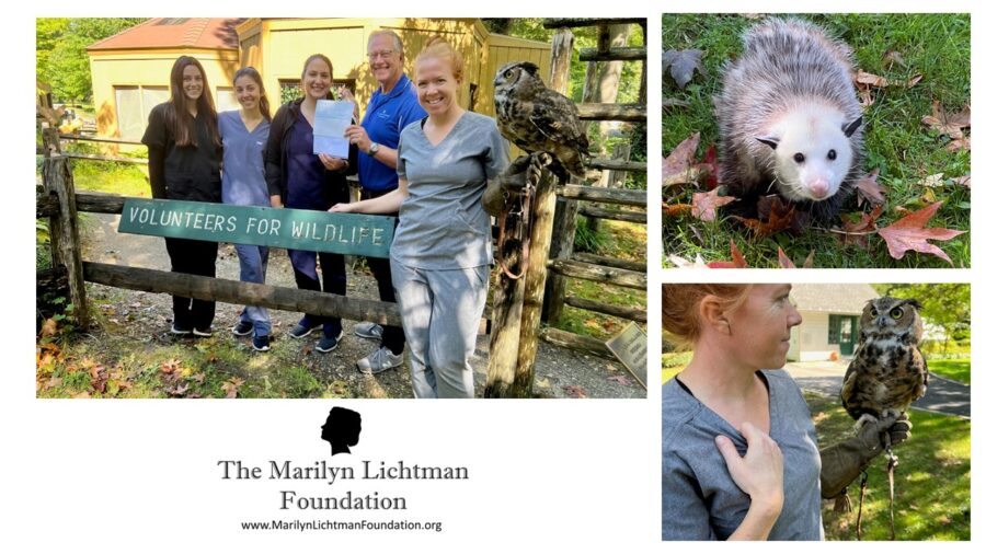Photo of several people standing by a sign outdoors and an owl, photo of a person with an owl, photograph of a opossum. Text: The Marilyn Lichtman Foundation www.MarilynLichtmanFoundation.org