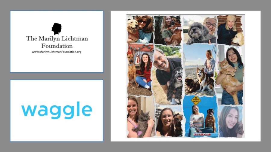 Image of several people and pets.  Logo and text WAGGLE and The Marilyn Lichtman Foundation www.marilynlichtmanfoundation.org