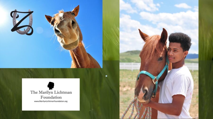 Image of horse, fields, person and horse, logo of the Marilyn LIchtman Foundation